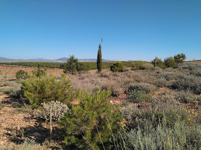 Abrigaño de El Romeral en Calatorao. Parque ecológico
