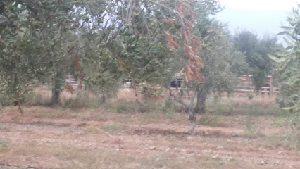 REVAWASTE en Botarell. Centro de reciclaje