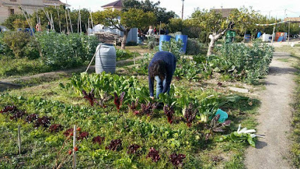 Huertos Ecológicos El Verdecillo en Murcia. Organización agrícola