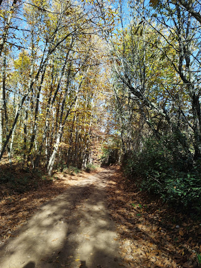 Sendero de los Castañares en Constantina. Zona de senderismo