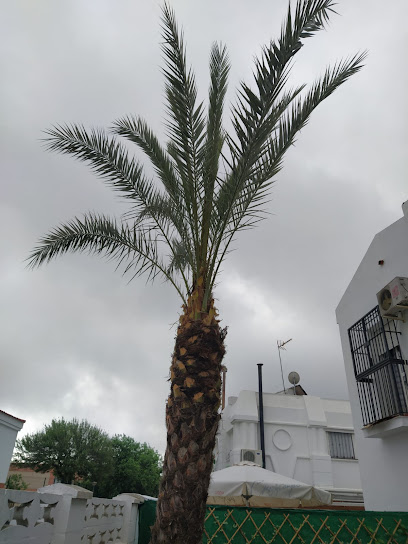Podarte en La Algaba. Jardinero