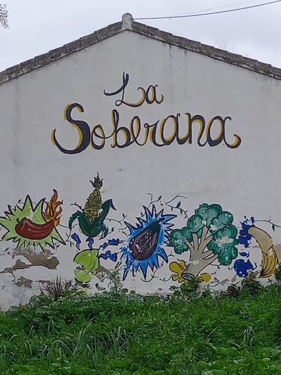 Huerta ecológica la soberana en Lebrija. Granja