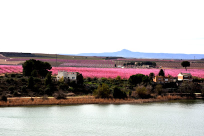 Ayuntamiento de Torres de Segre en Torres de Segre. Ayuntamiento