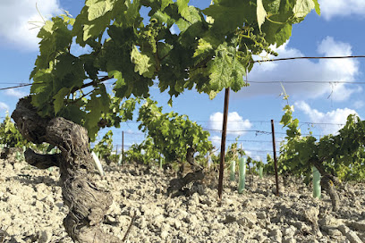 Vara Y Pulgar Asesores Vitícolas SL en Jerez de la Frontera. Asesor