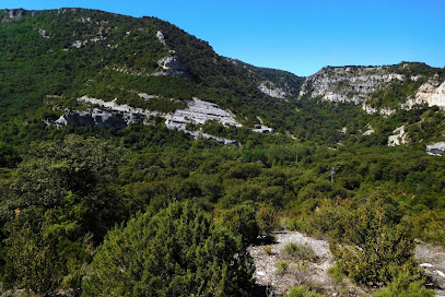 Reserva Natural de Basaura en Baríndano. Parque nacional