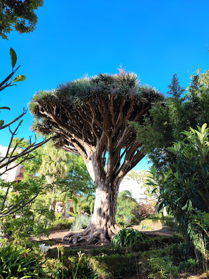 Hijuela del Botánico en La Orotava. Parque