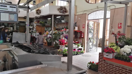 MERCADO ECOLÓGICO en Laredo. Mercado de productos agrícolas
