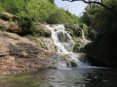 Gorg del Padre en Mura. Reserva natural