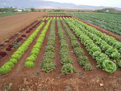 ORGANIC VALENCIA UNION SL en El Puig. Tienda de alimentos orgánicos