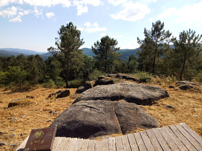 Parque Arqueolóxico de Campo Lameiro en Praderrei. Museo arqueológico