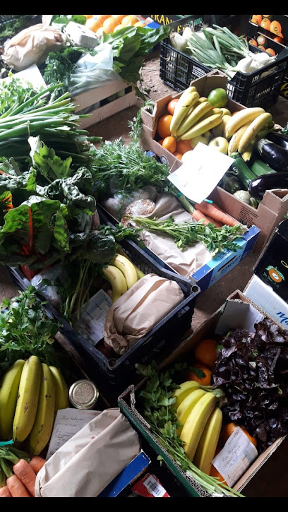 Cal Vilaseca Fruits del Camp en La Torre de Claramunt. Tienda de alimentación