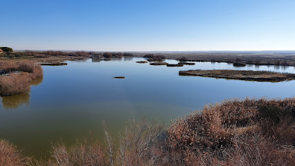 Reserva natural de Lagunas de Villafáfila en Villafáfila. Reserva natural