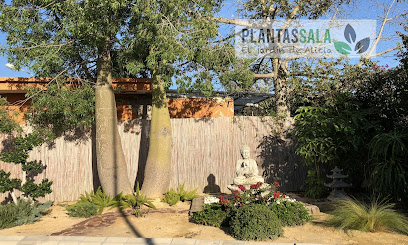 Plantas Sala sl en San Juan de Alicante. Centro de jardinería