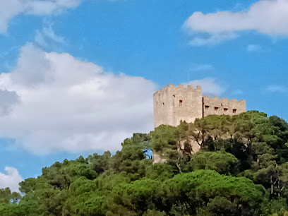 Castillo de La Roca del Vallès en La Roca del Vallès. Castillo