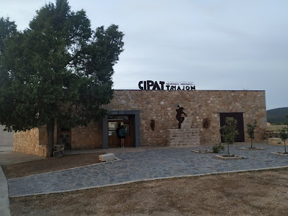 CIPAT TAMAJÓN en Tamajón. Museo