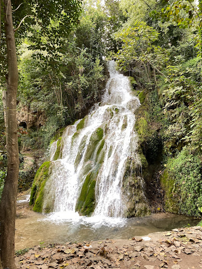 Parque de La Floresta en Viver. Parque