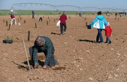 Asociación de Amigos Botánico CLM en Albacete. Asociación de ecologistas