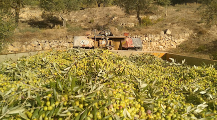 Ecopagesos en La Palma d'Ebre. Almazara