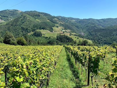URKIZAHAR Txakolin ekologikoa en Aduna. Tienda de vinos