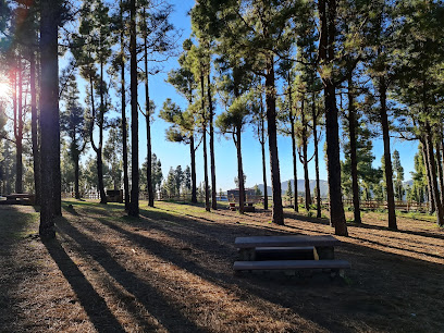 Llanos de Ana López en Vega de San Mateo. Zona de senderismo