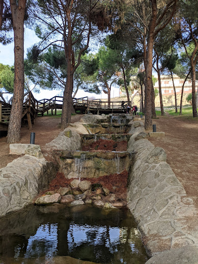 Pinar De Arroyomolinos en Arroyomolinos. Parque