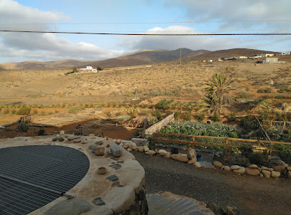 Finca Garabato en Agua de Bueyes. Organización agrícola