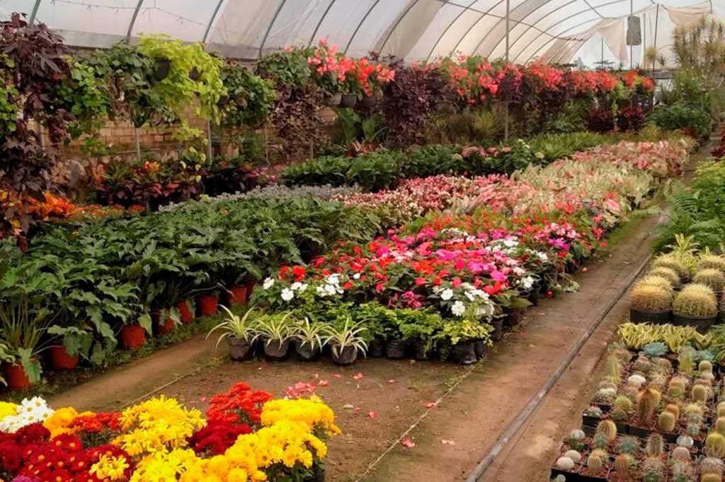 Descubre reseñas e información sobre Viveros Horche. Conoce Floristerías en Horche comprometidos con el medioambiente y la sostenibilidad en Guadalajara
