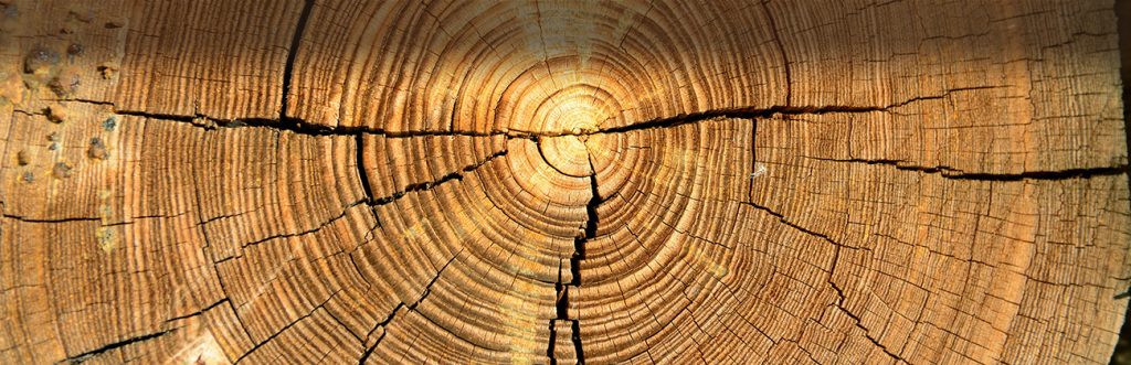 Jesús del Ser Servicios de instalación de suelos de madera en Segovia