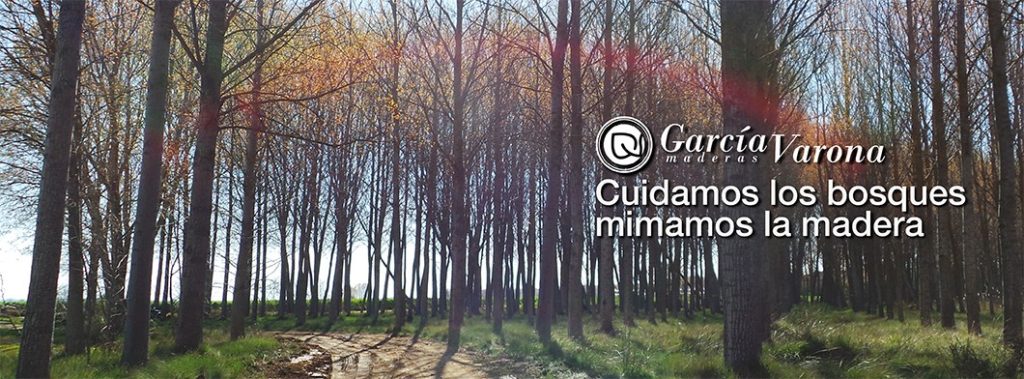 Maderas García Varona Empresas madereras en Parbayón