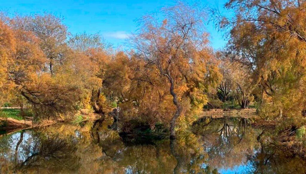 Paraje natural clot de galvany, Paraje Natural Municipal de Elche