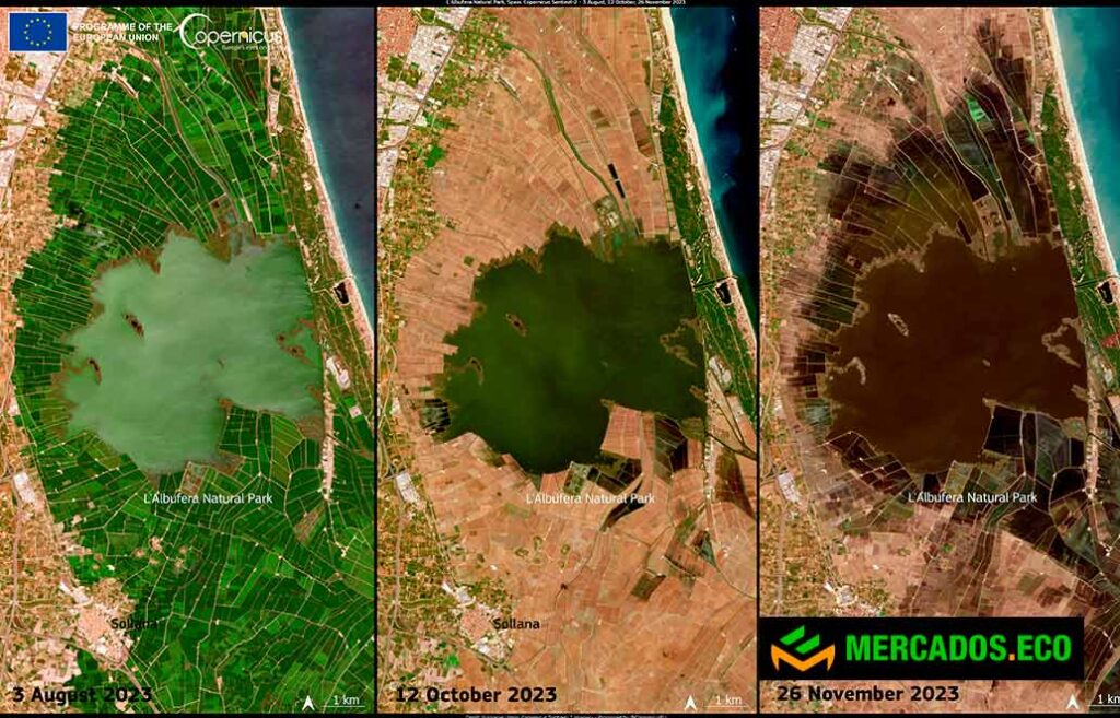 La Albufera, de humedal protegido a vertedero tras la DANA de octubre.CRISIS AMBIENTAL EN VALENCIA, TONELADAS DE RESIDUOS AHOGAN A LA ALBUFERA.Contaminación en La Albufera, el plástico y los químicos invaden el parque natural