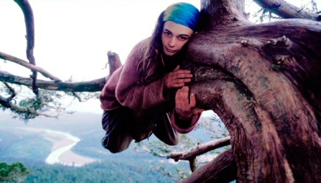 La increíble historia de Julia Hill: Dos años viviendo en un árbol para