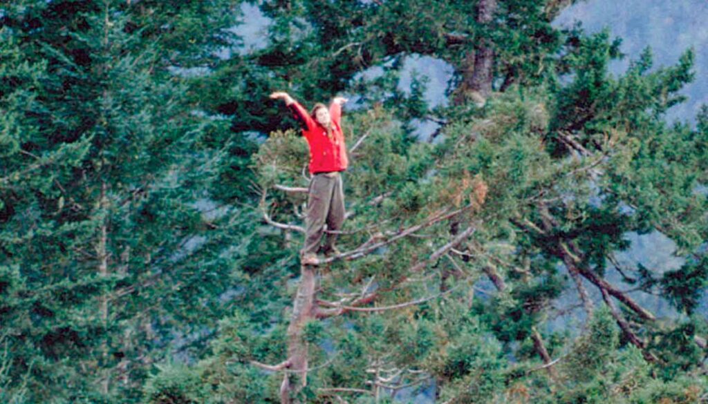La increíble historia de Julia Hill: Dos años viviendo en un árbol para