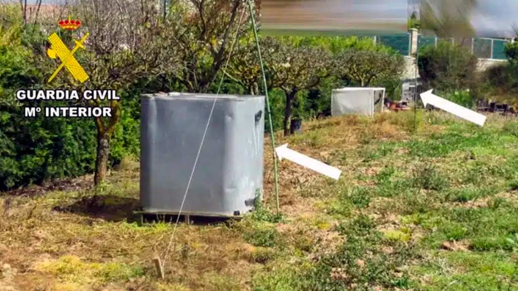 Trampa furtiva para cazar aves, una red japonesa ilegal para capturar aves 