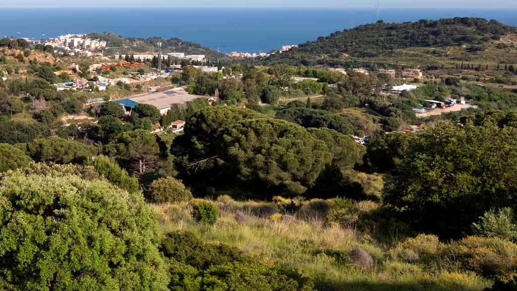 José Elías, el millonario que construyó su mansión en un parque natural protegido. El caso que sacude Tiana: lujo, ilegalidad urbanística y una posible demolición judicial | Foto Gianluca Battista