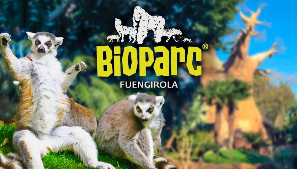 BIOPARC Fuengirola: selvas, tigres y un templo maya en la Costa del Sol