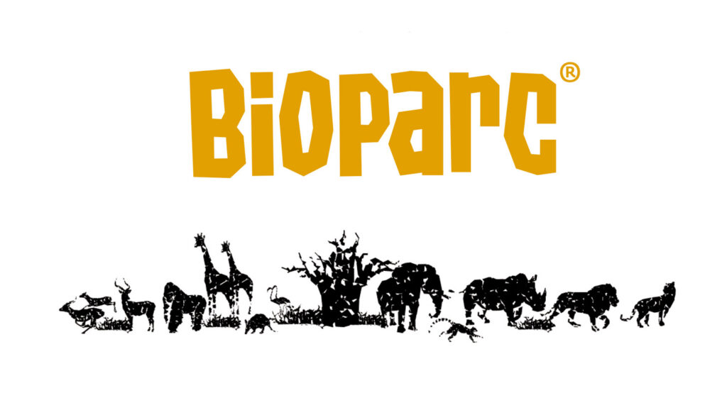 BIOPARC, el viaje salvaje que despierta conciencias sin salir de España en Valencia, Fuengirola y Gijón