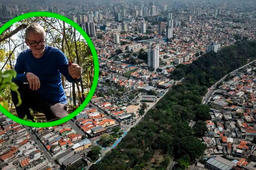 El hombre de 73 años que sembró 41.100 árboles en São Paulo Brasil: así creó un bosque urbano en medio del asfalto
