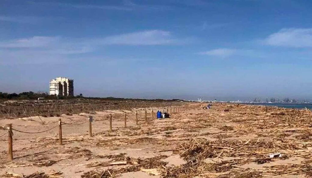Seis playas de la Comunidad Valenciana reciben la ‘bandera negra’ por contaminación y mala gestión. Ecologistas en Acción denuncia vertidos fecales, leyes privatizadoras y una recuperación incompleta tras la DANA. ¿Banderas azules? Una irresponsabilidad