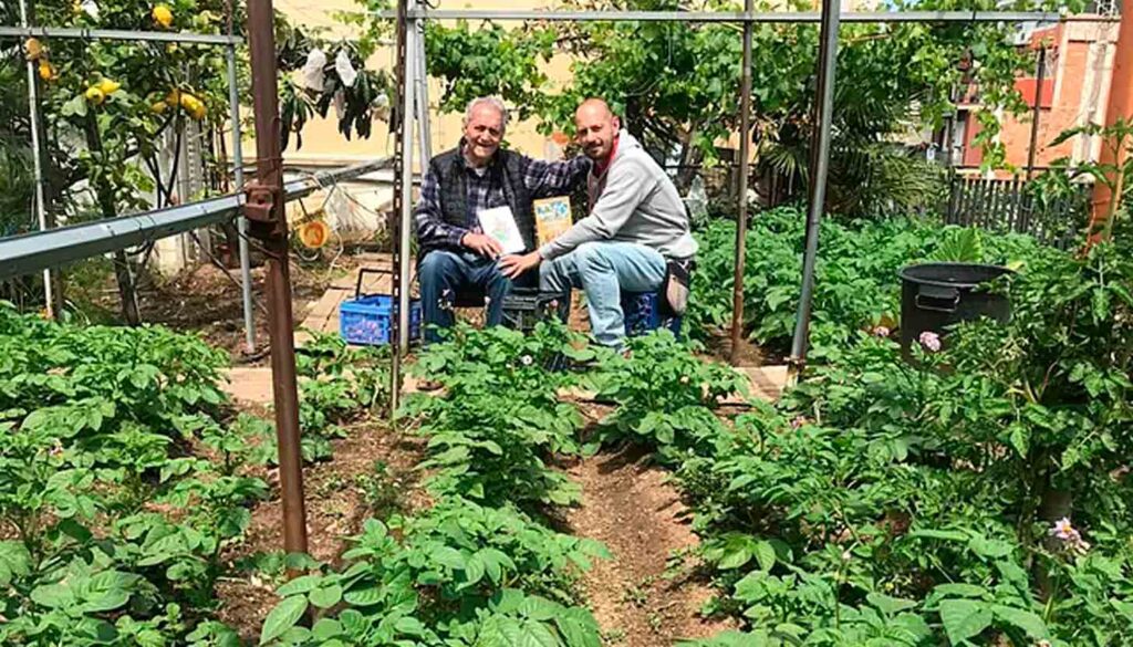 Huertos urbanos como semillas de esperanza, Hacia una renaturalización de la ciudad