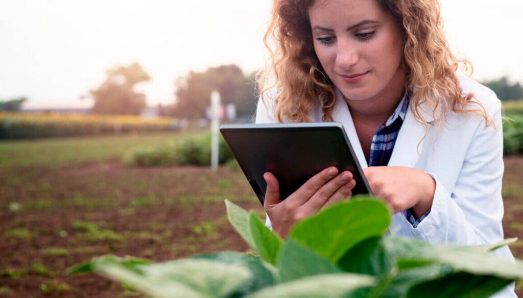 España podría liderar la revolución agroalimentaria, pero sigue sin atraer capital riesgo especializado. El agrifoodtech español necesita inversión urgente para no quedarse atrás en innovación y competitividad.