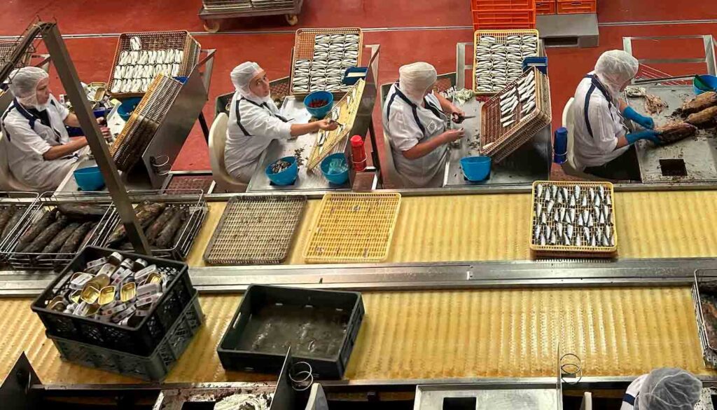 La sardina ibérica recupera el sello azul de pesca sostenible tras una década crítica en España y Portugal. Pesca sostenible: la sardina ibérica vuelve a ser ejemplo gracias a una gestión rigurosa y cooperación ibérica.