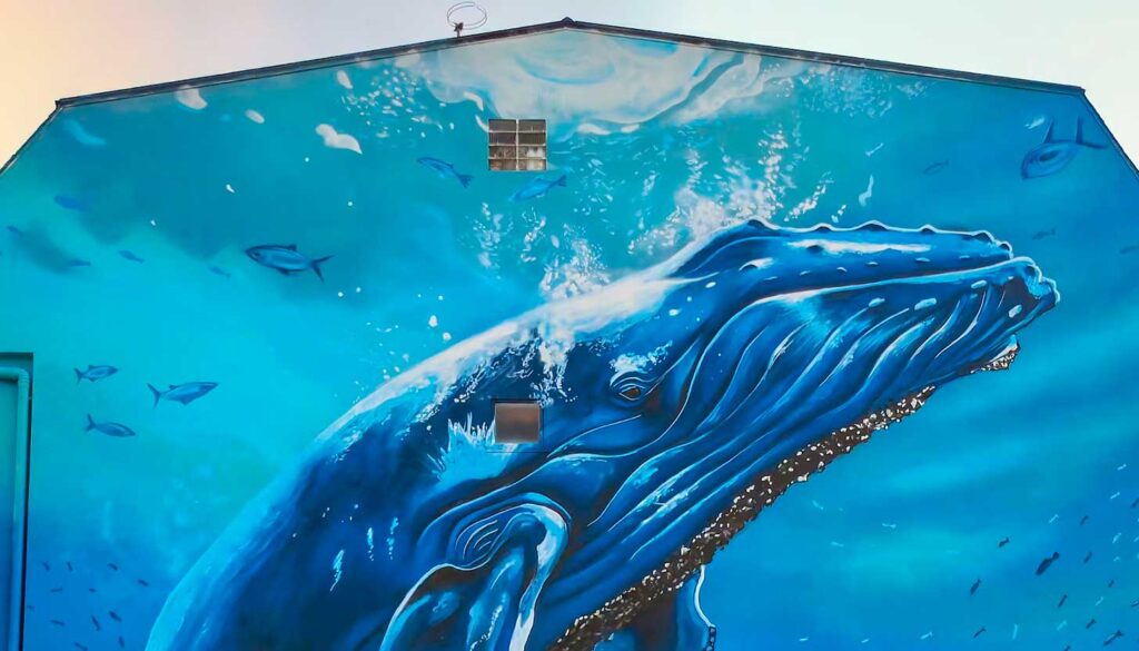 Cee, costa de ballenas: factoría fantasma, rorcuales varados, arte urbano y bioluminiscencia para una Galicia crítica e inolvidable. De factoría a mirador: Cee revive su pasado ballenero con arte, libros, lanchas y noches bajo un mar que brilla. Mural de Diego As en la rúa da Escola de Cee. andrés campos