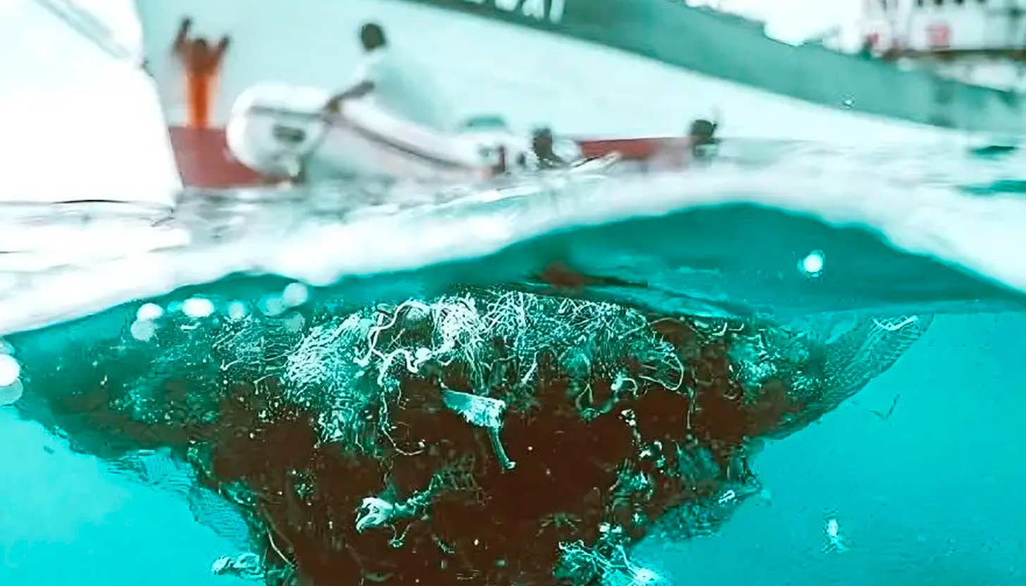 Transformar el plástico del mar en materia prima: la startup que convierte basura en futuro